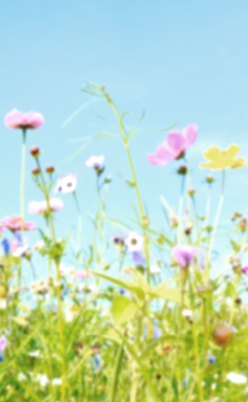 大阪市中央区の軽貨物運送・企業配達・ルート配達｜株式会社BLOOVE